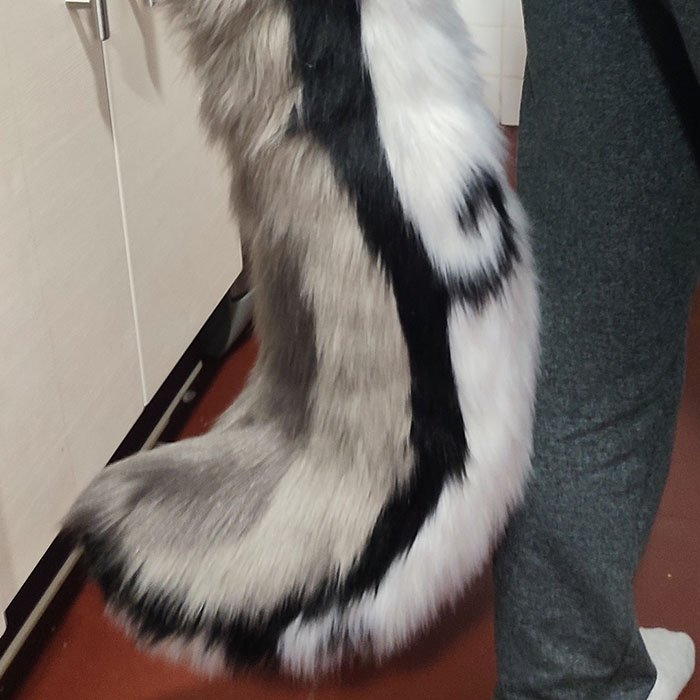 Tail
